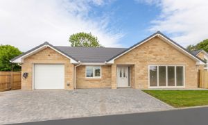 Photo 14- click for photo gallery